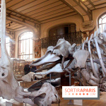 Magicien d'Os, les photos de l'expo