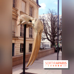 Magicien d'Os, les photos de l'expo