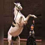 Ecuyères, le spectacle équestre du Musée vivant du cheval à Chantilly