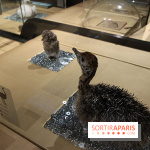 Exposition BéBés animaux à la Cité des Sciences, les photos