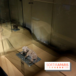 Exposition BéBés animaux à la Cité des Sciences, les photos