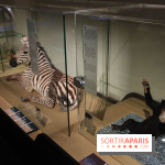 Exposition BéBés animaux à la Cité des Sciences, les photos