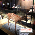 Exposition BéBés animaux à la Cité des Sciences, les photos