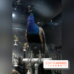 Jardin d'Orient à l'Institut du Monde Arabe