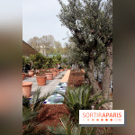 Jardin d'Orient à l'Institut du Monde Arabe