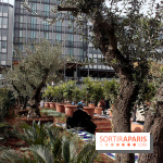 Jardin d'Orient à l'Institut du Monde Arabe