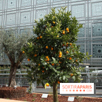 Jardin d'Orient à l'Institut du Monde Arabe