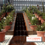 Jardin d'Orient à l'Institut du Monde Arabe