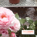 Jardin d'Orient à l'Institut du Monde Arabe