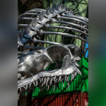 Monumenta 2016, Huang Yong Ping au Grand Palais