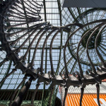 Monumenta 2016, Huang Yong Ping au Grand Palais