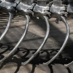 Monumenta 2016, Huang Yong Ping au Grand Palais