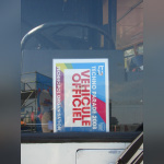 techno, parade, techno parade 2008