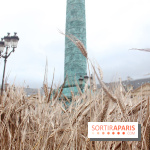 Gad Weil installe son Champ de Blés Place Vendôme