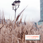 Gad Weil installe son Champ de Blés Place Vendôme