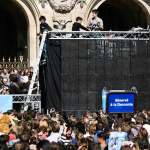 techno, parade, techno parade 2008