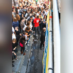 techno, parade, techno parade 2008