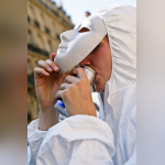 techno, parade, techno parade 2008