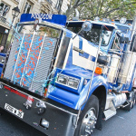 techno, parade, techno parade 2008