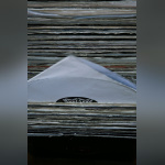 techno, parade, techno parade 2008