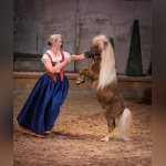 Peau d'âne au domaine de Chantilly