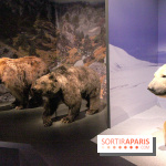 Espèces d'Ours, l'expo au Muséum National d'Histoire Naturelle
