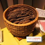 Espèces d'Ours, l'expo au Muséum National d'Histoire Naturelle