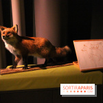 Espèces d'Ours, l'expo au Muséum National d'Histoire Naturelle