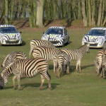 Zoo de Thoiry, les nouveautés 2015