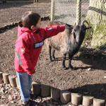 Zoo de Thoiry