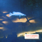 Aquarium de Paris Décembre 2016