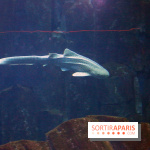 Aquarium de Paris Décembre 2016
