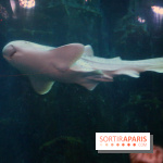 Aquarium de Paris Décembre 2016