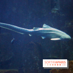 Aquarium de Paris Décembre 2016