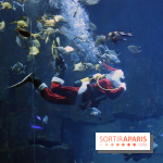 Aquarium de Paris Décembre 2016