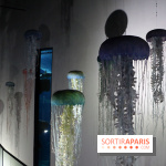 Aquarium de Paris Décembre 2016