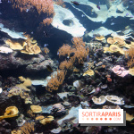 Aquarium de Paris Décembre 2016