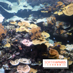 Aquarium de Paris Décembre 2016