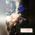 Aquarium de Paris Décembre 2016