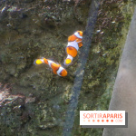 Aquarium de Paris Décembre 2016