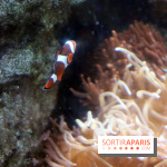 Aquarium de Paris Décembre 2016