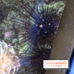 Aquarium de Paris Décembre 2016