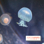 Aquarium de Paris Décembre 2016