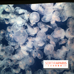 Aquarium de Paris Décembre 2016