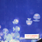 Aquarium de Paris Décembre 2016