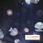 Aquarium de Paris Décembre 2016