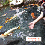 Aquarium de Paris Décembre 2016