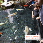 Aquarium de Paris Décembre 2016