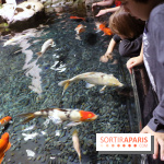Aquarium de Paris Décembre 2016