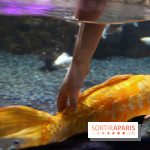 Aquarium de Paris Décembre 2016